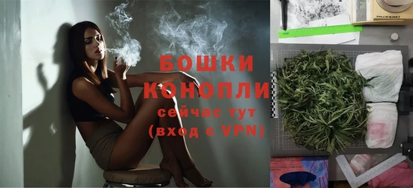 прущие крисы Вязьма