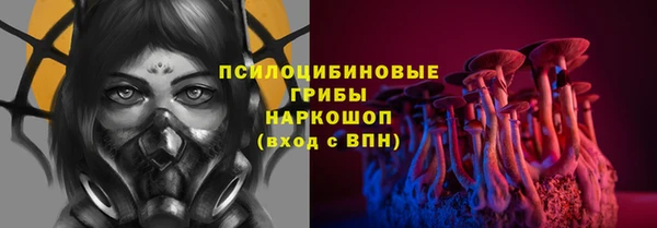 ГАЛЛЮЦИНОГЕННЫЕ ГРИБЫ Горняк