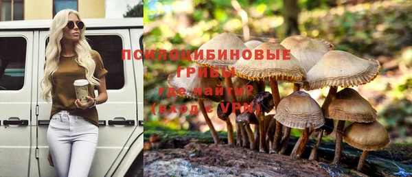ГАЛЛЮЦИНОГЕННЫЕ ГРИБЫ Горняк