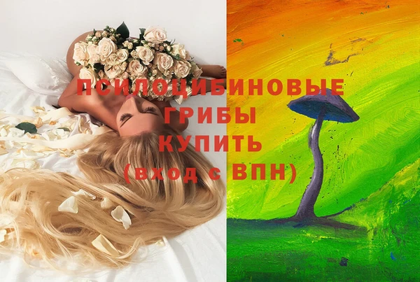 прущие крисы Вязьма